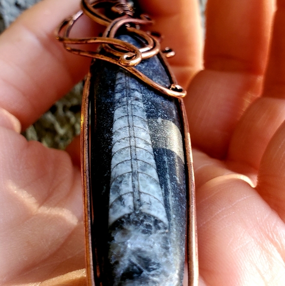 New Oversized Orthoceras Fossil Wire Wrapped Pendant. - Picture 6 of 15